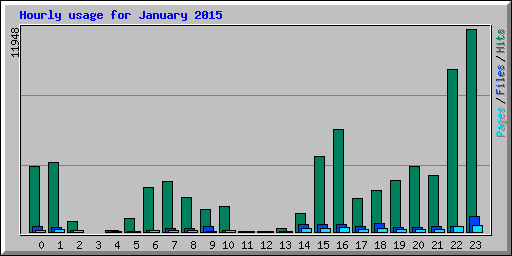 Hourly usage for January 2015